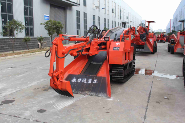 梦见大公鸡是什么意思